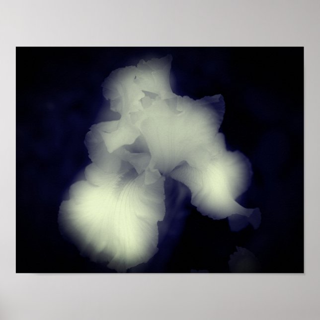 Poster Iris Arrière Noir Et Blanc Haut Contraste (Devant)