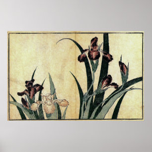 Poster Iris de Katsushika Hokusai