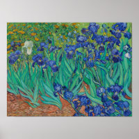 Iris de Van Gogh