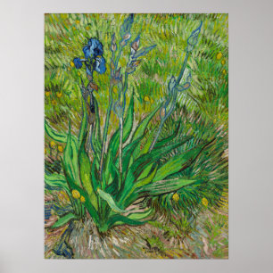 Poster Iris de Van Gogh - Art floral bleu classique