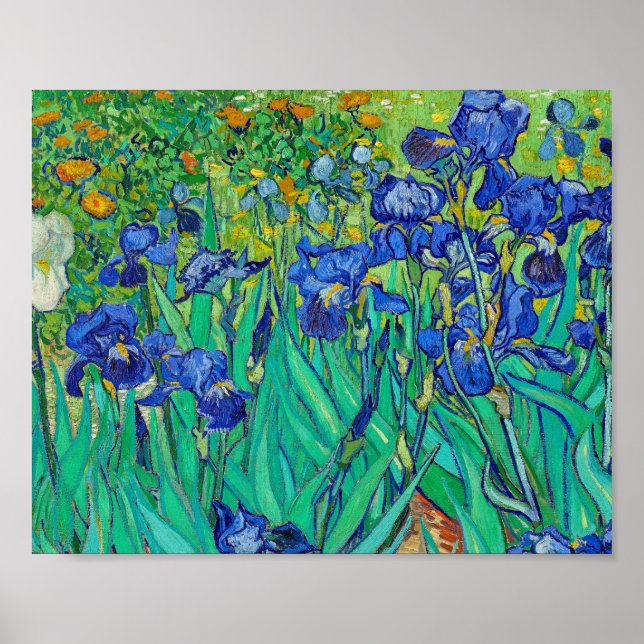 Poster Iris de Vincent Van Gogh (Devant)