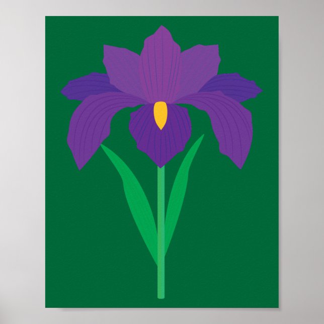 Poster Iris Flower (Devant)