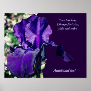 Poster Iris Flower Ajouter votre texte personnalisé