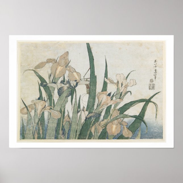 Poster Iris Flowers and Grasshopper, c.1830-31 (Devant)