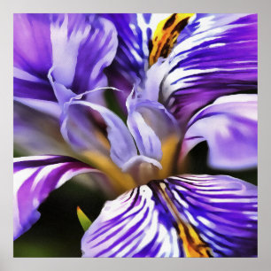 Poster Iris In Violet Lilac and Purple Botanical Art