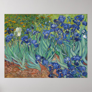 Poster Iris par Vincent van Gogh
