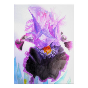 Poster Iris Pourpre Fleur Aquarelle Florale Anniversaire