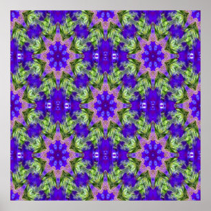 Poster Iris Stars......