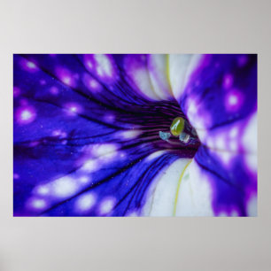 Poster Iris Violet Macro – Art Floral en Gros Plan Vibran