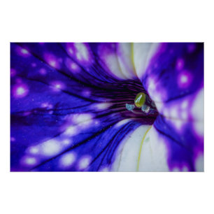 Poster Iris Violet Macro – Art Floral Rapproché Vibrant