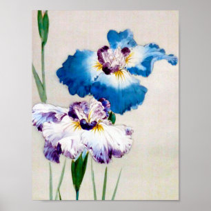 Poster Iris, Watanabe Seitei