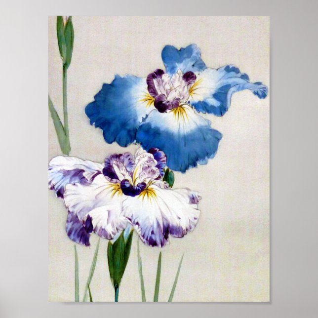 Poster Iris, Watanabe Seitei (Devant)