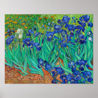 Poster Irises