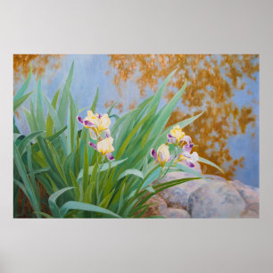 Poster Irises jaunes et pourpres avec lumière dorée
