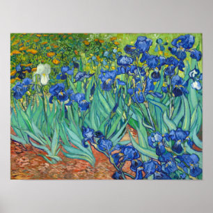 Poster Irises par Van Gogh