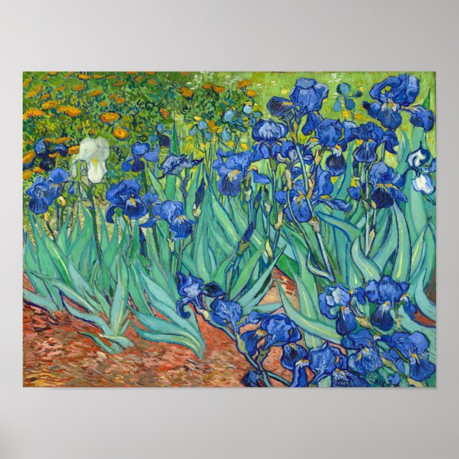 Poster Irises par Van Gogh (Devant)