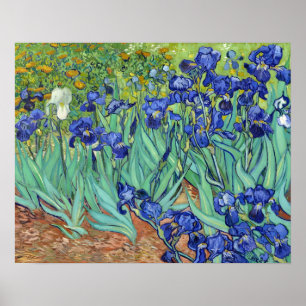 Poster Irises par Vincent van gogh