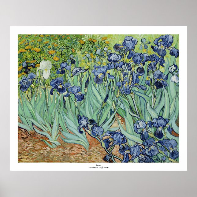 Poster Irises par Vincent van Gogh (Devant)