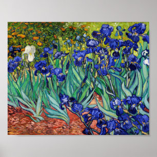 Poster Irises par Vincent van Gogh