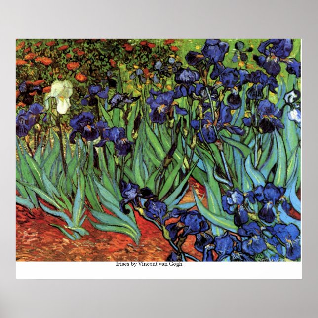 Poster Irises par Vincent van Gogh (Devant)