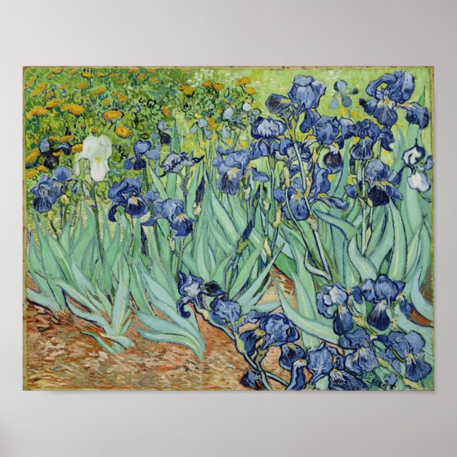 Poster Irises - Van Gogh Imprimer (Devant)