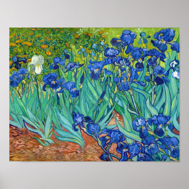 Poster Irises, Vincent van Gogh (Devant)