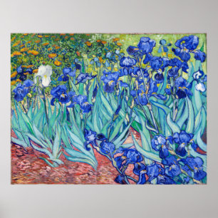 Poster Irises Vincent van Gogh