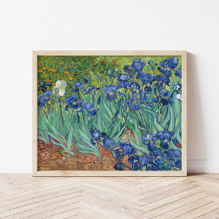 Poster Irises   Vincent Van Gogh