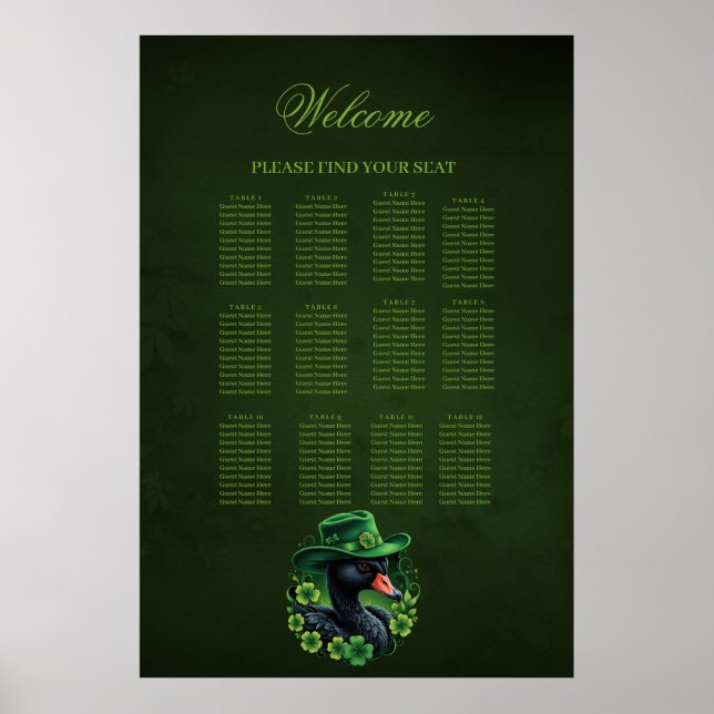 Poster Irish Elegance, le cygne noir de St Patrick (Devant)