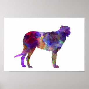 Poster Irish Wolfhound in watercolor