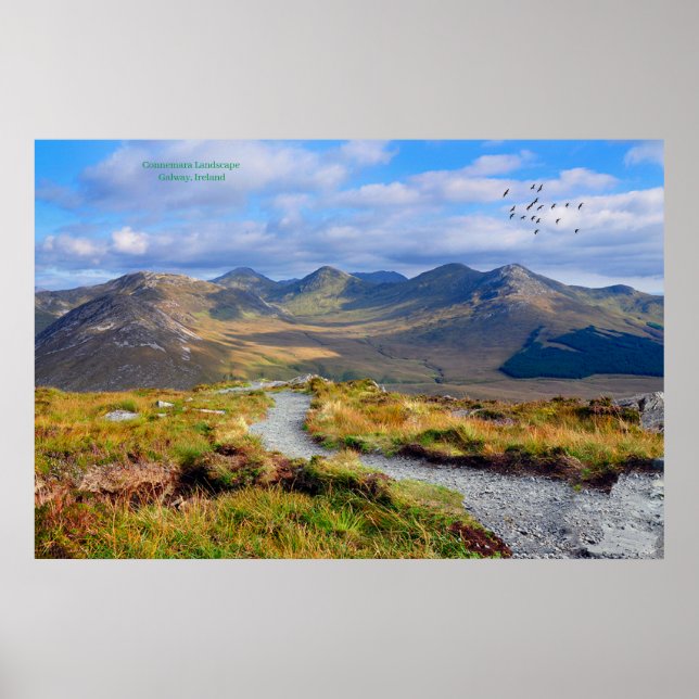 Poster Irland (Vorne)