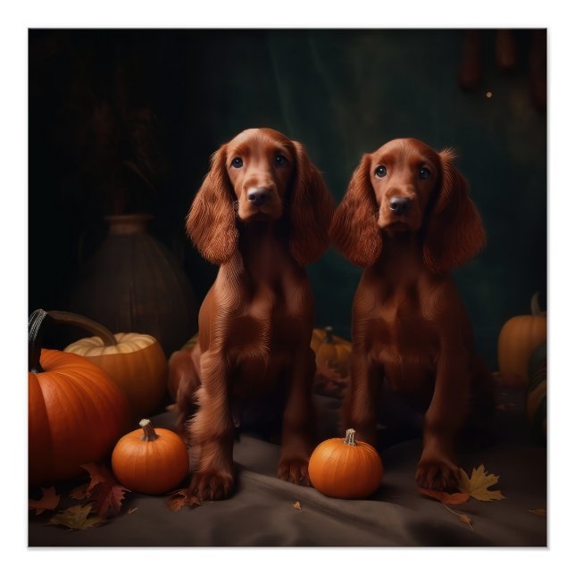 Poster Irlandais Red Setter Chiot Automne Citrouille de p (Devant)