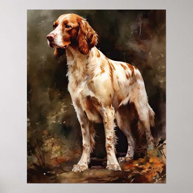 Poster Irlandais Rouge et blanc Setter Chien Art Imprimer (Devant)