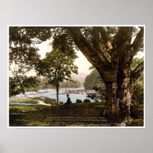 Poster Irlande, Avoca Wicklow, poème Meeting of Waters