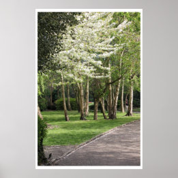Poster Irlande du printemps