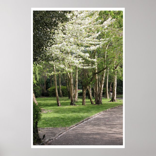 Poster Irlande du printemps (Devant)