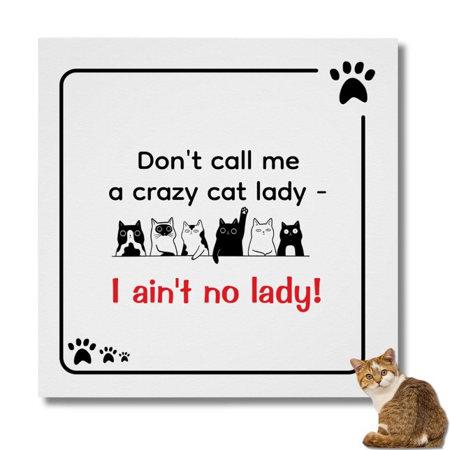 Poster Irreverent Humor Crazy Cat Lady  (I ain't no lady poster)