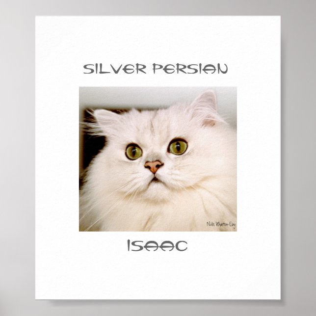 Poster Isaac, Un Perse D'Argent Extraordinaire (Devant)