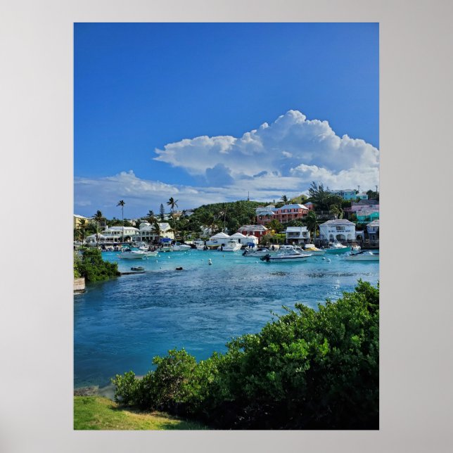 Poster Island Life (Devant)