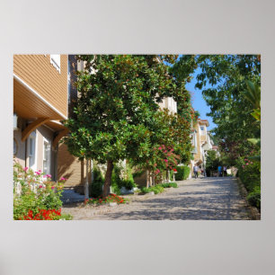 Poster Istanbul street Imprimer