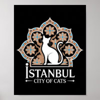 Istanbul Ville Des Chats Patrimoine Turc Hagia Sop