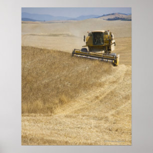 Poster Italie. Toscane. Montalcino 4