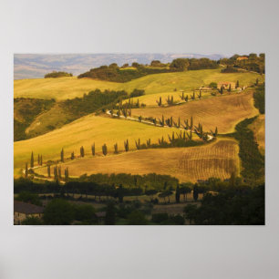 Poster Italie, Toscane, route en zigzag en Toscane.