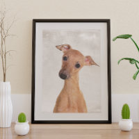 Poster italien Greyhound