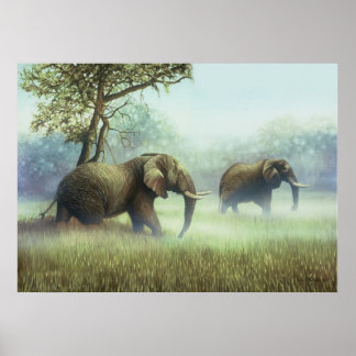Poster Ivoire Mist