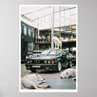 Poster Ivory Wolf Chroma | Wolfs et une voiture