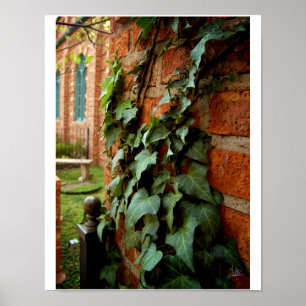 Poster Ivy & Brick [Print]