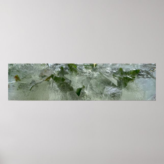 Poster Ivy glacé, (Devant)