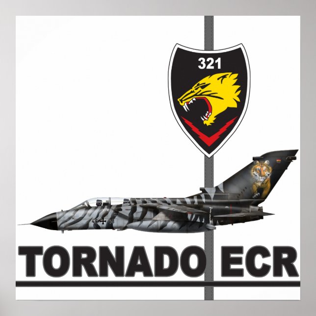 Poster JaBoG 321 Tornado ECR Imprimer (Devant)