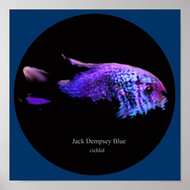 Poster Jack dempsey bleu (Devant)